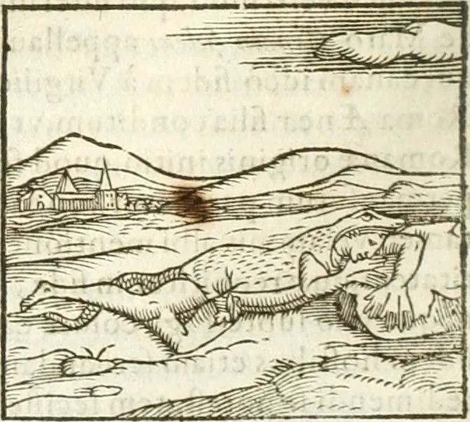 An illustration from Hieroglyphica, seu De sacris Aegyptiorum aliarumque gentium literis commentarii, 1594, leaf 353