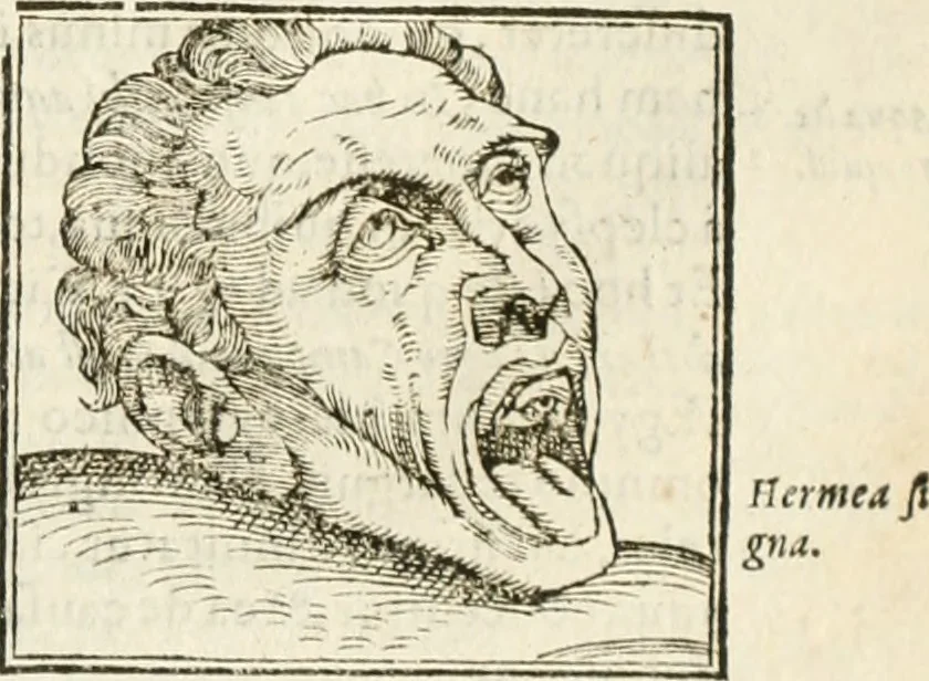 An illustration from Hieroglyphica, seu De sacris Aegyptiorum aliarumque gentium literis commentarii, 1594, leaf 354