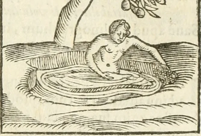 An illustration from Hieroglyphica, seu De sacris Aegyptiorum aliarumque gentium literis commentarii, 1594, leaf 356