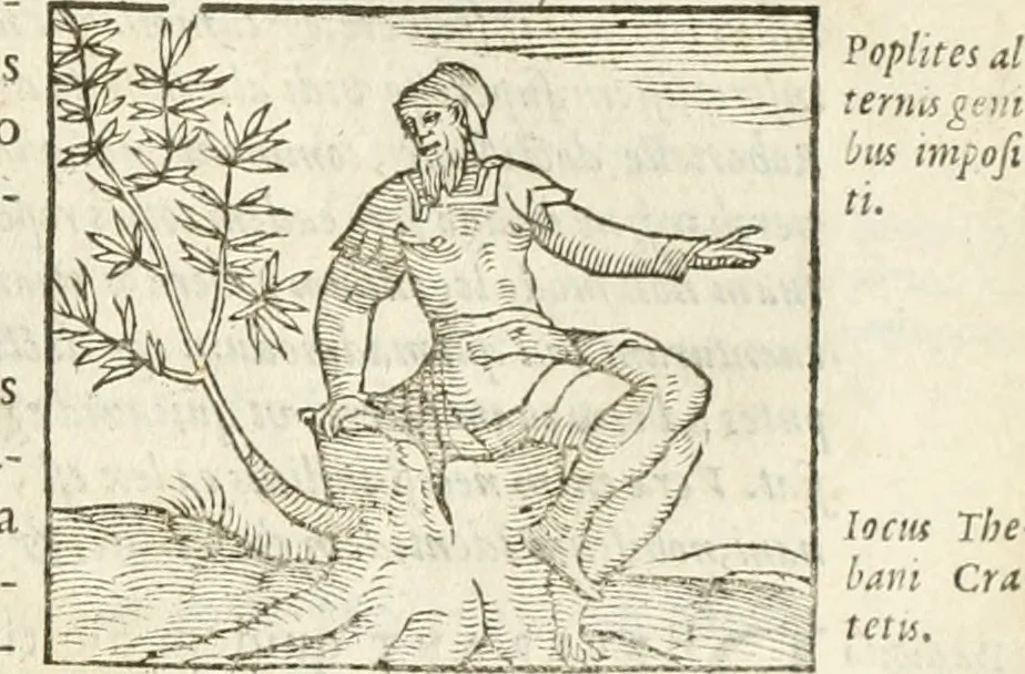 An illustration from Hieroglyphica, seu De sacris Aegyptiorum aliarumque gentium literis commentarii, 1594, leaf 358