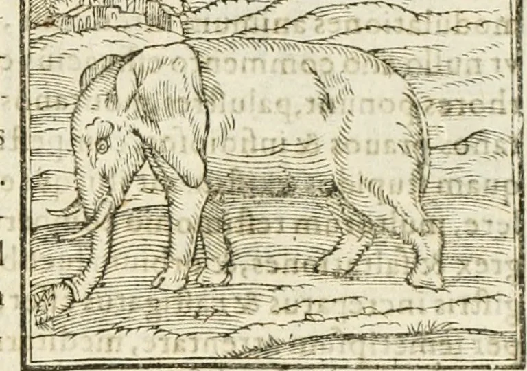 An illustration from Hieroglyphica, seu De sacris Aegyptiorum aliarumque gentium literis commentarii, 1594, leaf 36