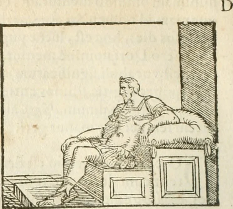 An illustration from Hieroglyphica, seu De sacris Aegyptiorum aliarumque gentium literis commentarii, 1594, leaf 367