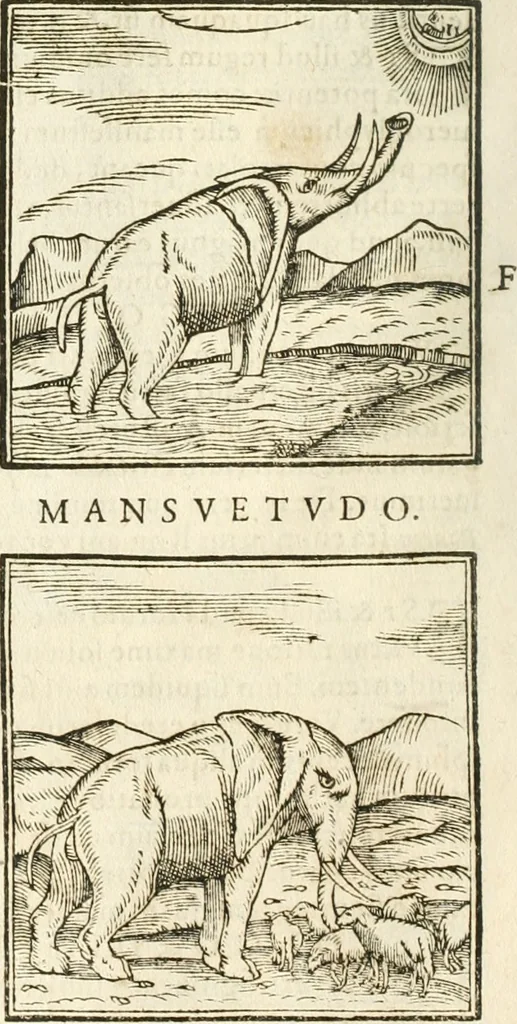 An illustration from Hieroglyphica, seu De sacris Aegyptiorum aliarumque gentium literis commentarii, 1594, leaf 37
