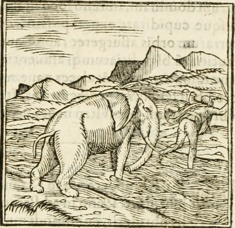An illustration from Hieroglyphica, seu De sacris Aegyptiorum aliarumque gentium literis commentarii, 1594, leaf 38