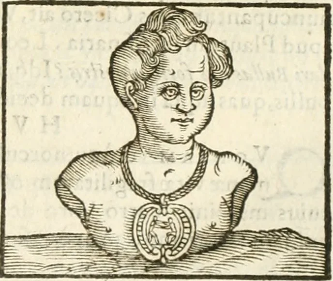 An illustration from Hieroglyphica, seu De sacris Aegyptiorum aliarumque gentium literis commentarii, 1594, leaf 414