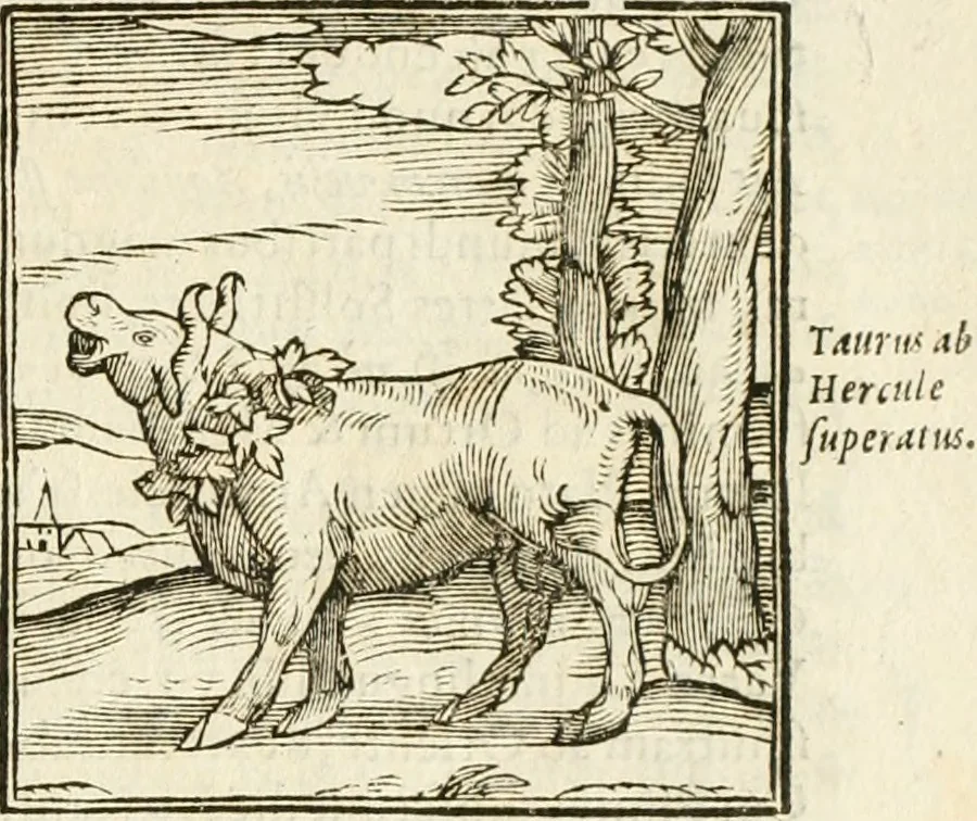 An illustration from Hieroglyphica, seu De sacris Aegyptiorum aliarumque gentium literis commentarii, 1594, leaf 42