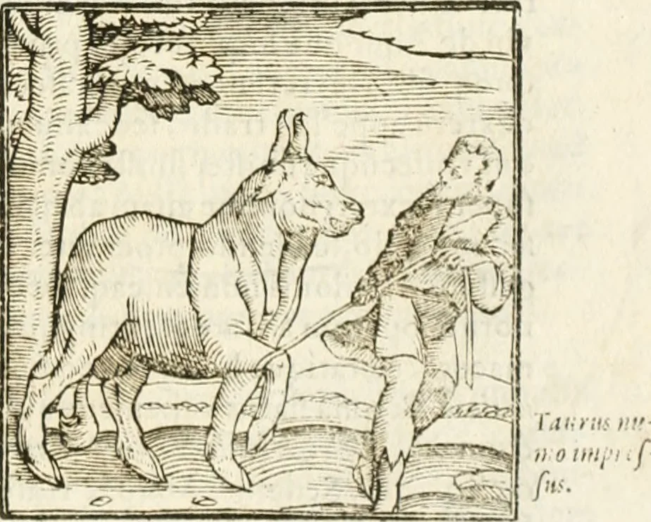 An illustration from Hieroglyphica, seu De sacris Aegyptiorum aliarumque gentium literis commentarii, 1594, leaf 42