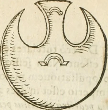 An illustration from Hieroglyphica, seu De sacris Aegyptiorum aliarumque gentium literis commentarii, 1594, leaf 431
