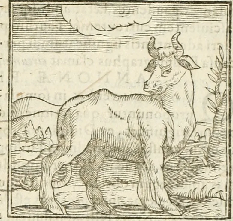 An illustration from Hieroglyphica, seu De sacris Aegyptiorum aliarumque gentium literis commentarii, 1594, leaf 44