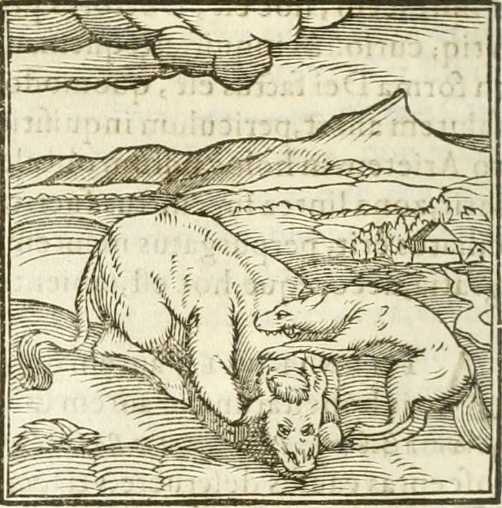 An illustration from Hieroglyphica, seu De sacris Aegyptiorum aliarumque gentium literis commentarii, 1594, leaf 47