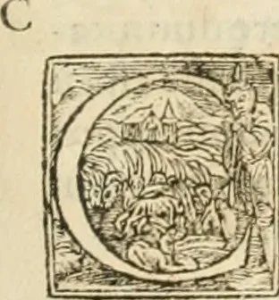 An illustration from Hieroglyphica, seu De sacris Aegyptiorum aliarumque gentium literis commentarii, 1594, leaf 496