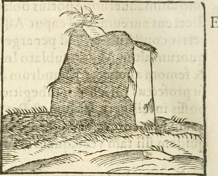 An illustration from Hieroglyphica, seu De sacris Aegyptiorum aliarumque gentium literis commentarii, 1594, leaf 499