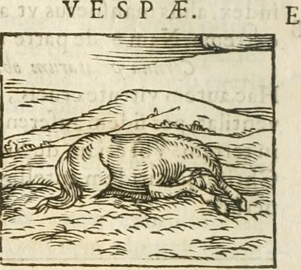 An illustration from Hieroglyphica, seu De sacris Aegyptiorum aliarumque gentium literis commentarii, 1594, leaf 53