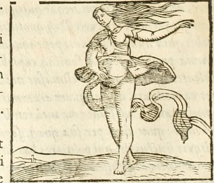 An illustration from Hieroglyphica, seu De sacris Aegyptiorum aliarumque gentium literis commentarii, 1594, leaf 555