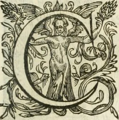 An illustration from Hieroglyphica, seu De sacris Aegyptiorum aliarumque gentium literis commentarii, 1594, leaf 584