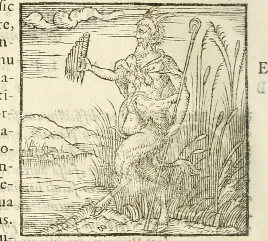 An illustration from Hieroglyphica, seu De sacris Aegyptiorum aliarumque gentium literis commentarii, 1594, leaf 585