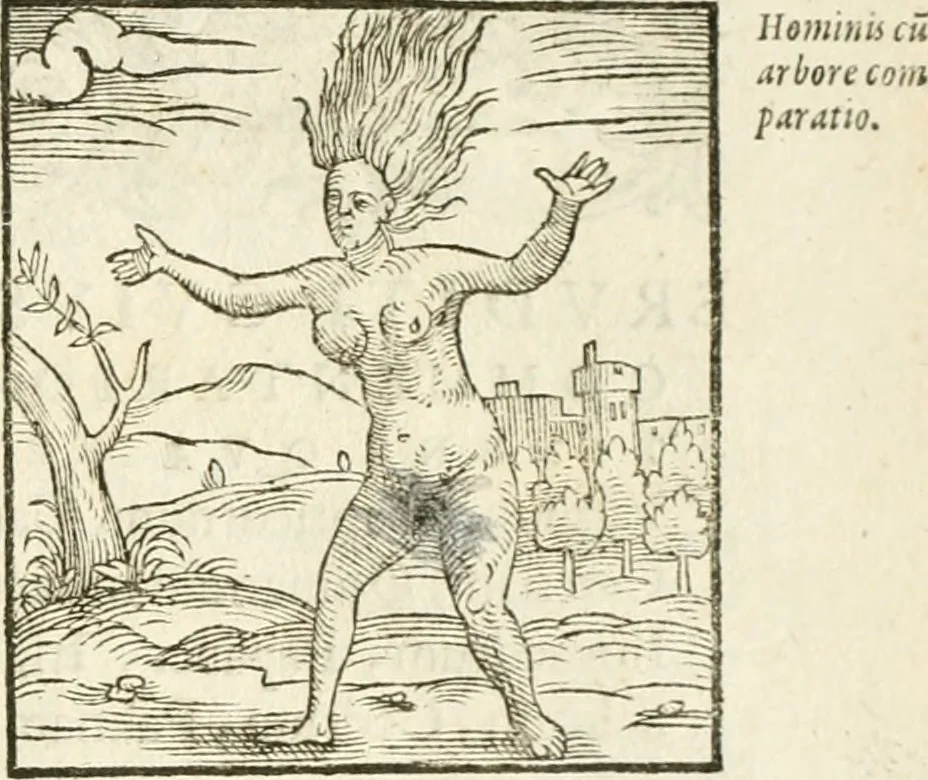 An illustration from Hieroglyphica, seu De sacris Aegyptiorum aliarumque gentium literis commentarii, 1594, leaf 598
