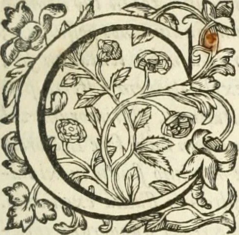 An illustration from Hieroglyphica, seu De sacris Aegyptiorum aliarumque gentium literis commentarii, 1594, leaf 6