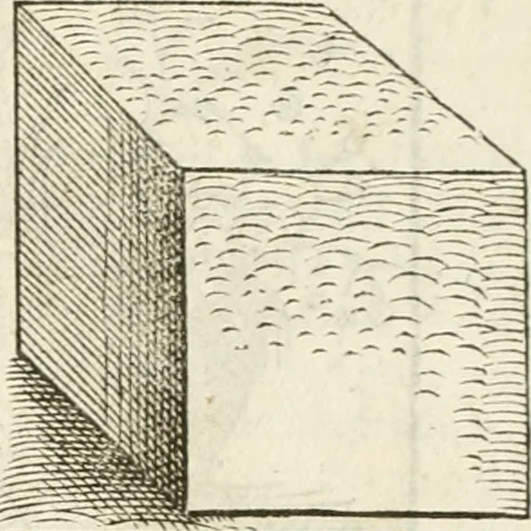 An illustration from Hieroglyphica, seu De sacris Aegyptiorum aliarumque gentium literis commentarii, 1594, leaf 604