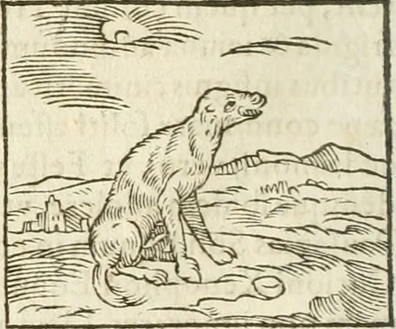 An illustration from Hieroglyphica, seu De sacris Aegyptiorum aliarumque gentium literis commentarii, 1594, leaf 63