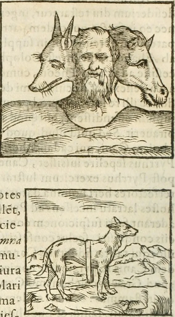 An illustration from Hieroglyphica, seu De sacris Aegyptiorum aliarumque gentium literis commentarii, 1594, leaf 67