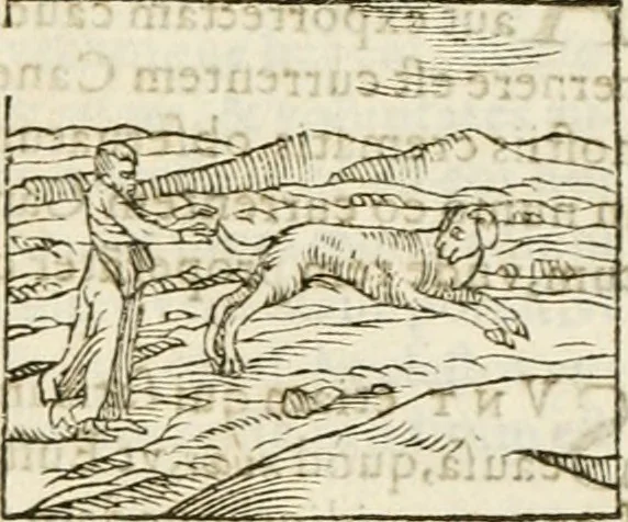 An illustration from Hieroglyphica, seu De sacris Aegyptiorum aliarumque gentium literis commentarii, 1594, leaf 68