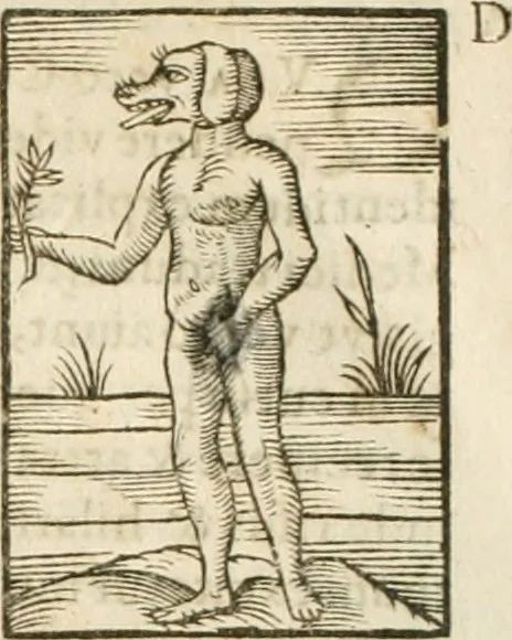 An illustration from Hieroglyphica, seu De sacris Aegyptiorum aliarumque gentium literis commentarii, 1594, leaf 71