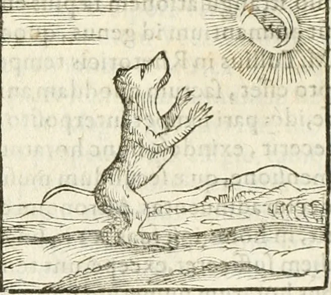 An illustration from Hieroglyphica, seu De sacris Aegyptiorum aliarumque gentium literis commentarii, 1594, leaf 72