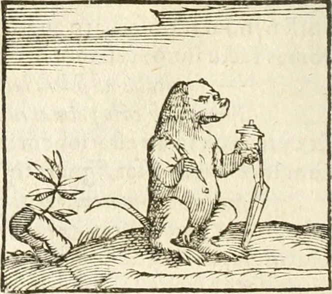An illustration from Hieroglyphica, seu De sacris Aegyptiorum aliarumque gentium literis commentarii, 1594, leaf 73