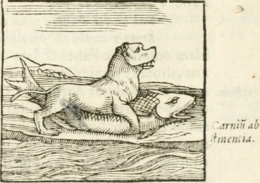 An illustration from Hieroglyphica, seu De sacris Aegyptiorum aliarumque gentium literis commentarii, 1594, leaf 74
