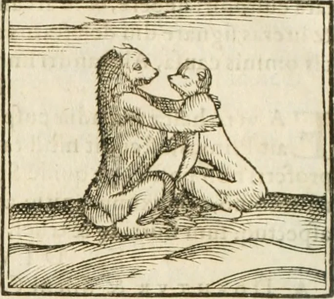 An illustration from Hieroglyphica, seu De sacris Aegyptiorum aliarumque gentium literis commentarii, 1594, leaf 77