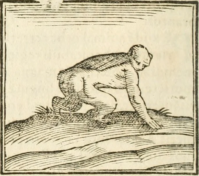 An illustration from Hieroglyphica, seu De sacris Aegyptiorum aliarumque gentium literis commentarii, 1594, leaf 77