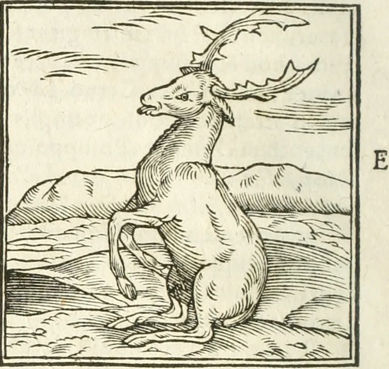 An illustration from Hieroglyphica, seu De sacris Aegyptiorum aliarumque gentium literis commentarii, 1594, leaf 85
