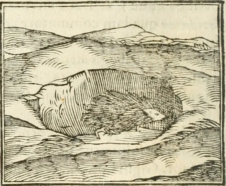 An illustration from Hieroglyphica, seu De sacris Aegyptiorum aliarumque gentium literis commentarii, 1594, leaf 93