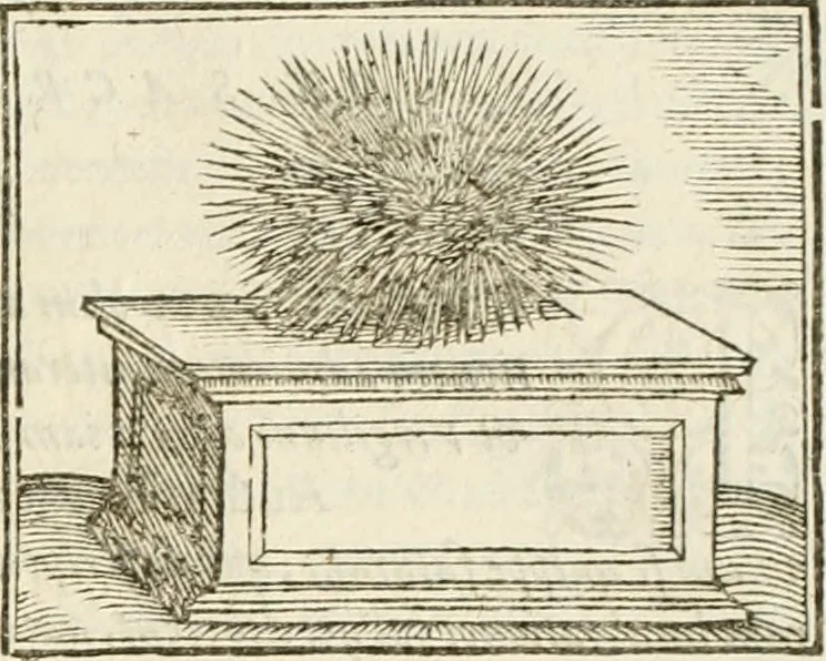 An illustration from Hieroglyphica, seu De sacris Aegyptiorum aliarumque gentium literis commentarii, 1594, leaf 94