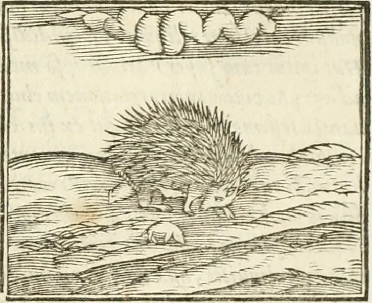 An illustration from Hieroglyphica, seu De sacris Aegyptiorum aliarumque gentium literis commentarii, 1594, leaf 94