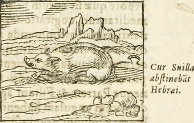 An illustration from Hieroglyphica, seu De sacris Aegyptiorum aliarumque gentium literis commentarii, 1594, leaf 96