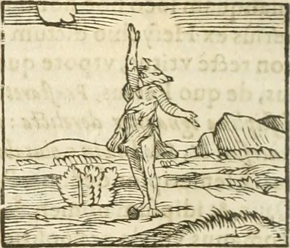An illustration from Hieroglyphica, seu De sacris Aegyptiorum aliarumque gentium literis commentarii, 1594, leaf 99