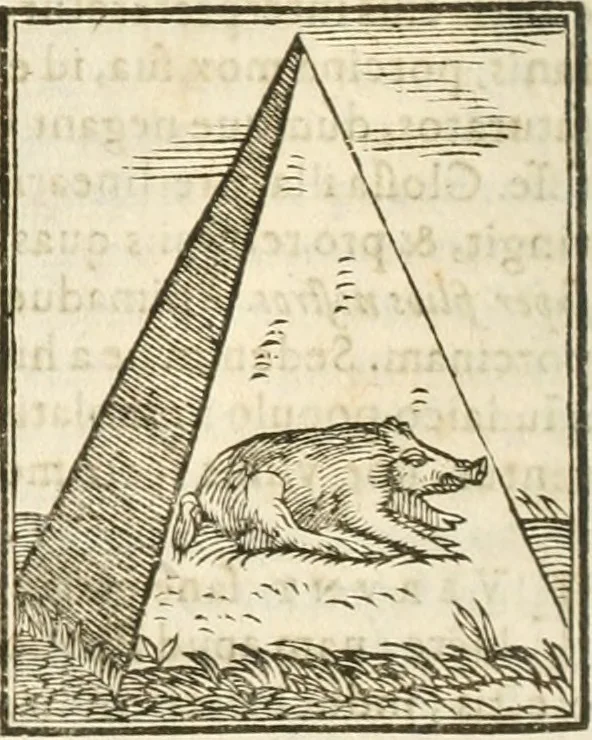 An illustration from Hieroglyphica, seu De sacris Aegyptiorum aliarumque gentium literis commentarii, 1594, leaf 99