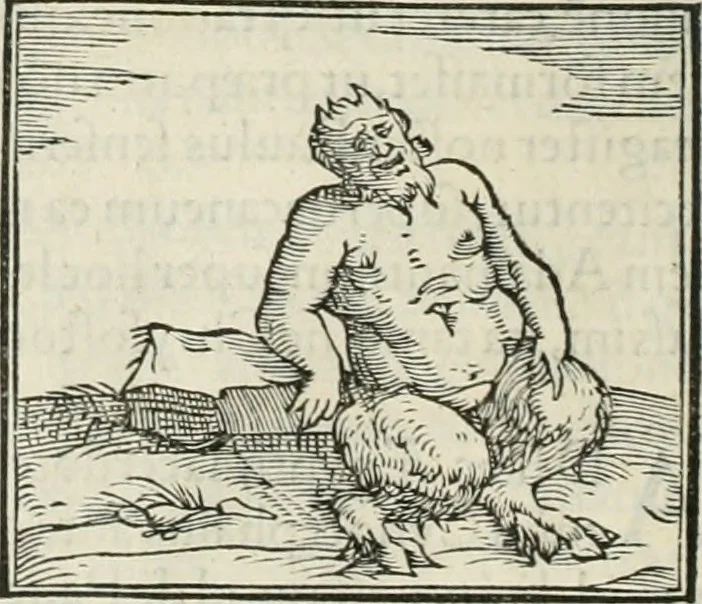 An illustration from Hieroglyphica, siue, De sacris Aegyptiorum literis commentarii, Ioannis Pierii Valeriani Bolzanii Bellunensis, 1556, leaf 101