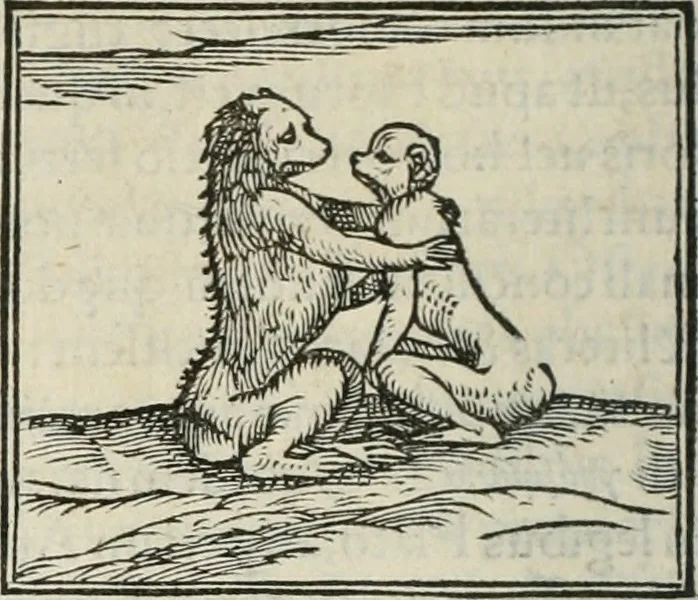 An illustration from Hieroglyphica, siue, De sacris Aegyptiorum literis commentarii, Ioannis Pierii Valeriani Bolzanii Bellunensis, 1556, leaf 103