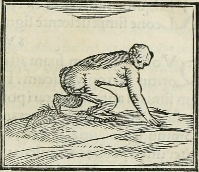 An illustration from Hieroglyphica, siue, De sacris Aegyptiorum literis commentarii, Ioannis Pierii Valeriani Bolzanii Bellunensis, 1556, leaf 104