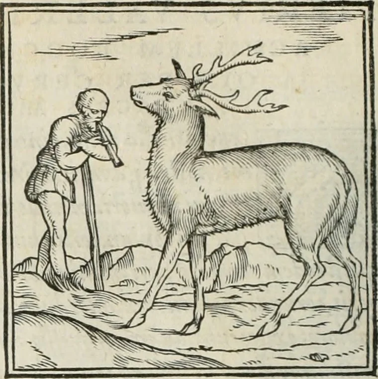 An illustration from Hieroglyphica, siue, De sacris Aegyptiorum literis commentarii, Ioannis Pierii Valeriani Bolzanii Bellunensis, 1556, leaf 107