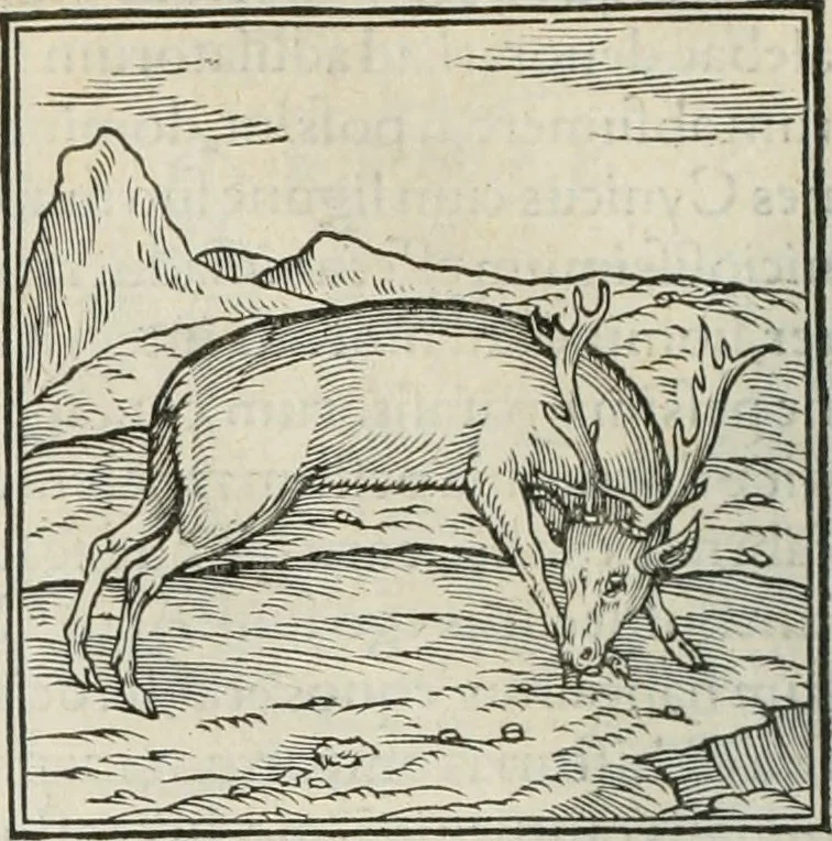 An illustration from Hieroglyphica, siue, De sacris Aegyptiorum literis commentarii, Ioannis Pierii Valeriani Bolzanii Bellunensis, 1556, leaf 109