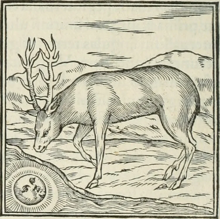 An illustration from Hieroglyphica, siue, De sacris Aegyptiorum literis commentarii, Ioannis Pierii Valeriani Bolzanii Bellunensis, 1556, leaf 111