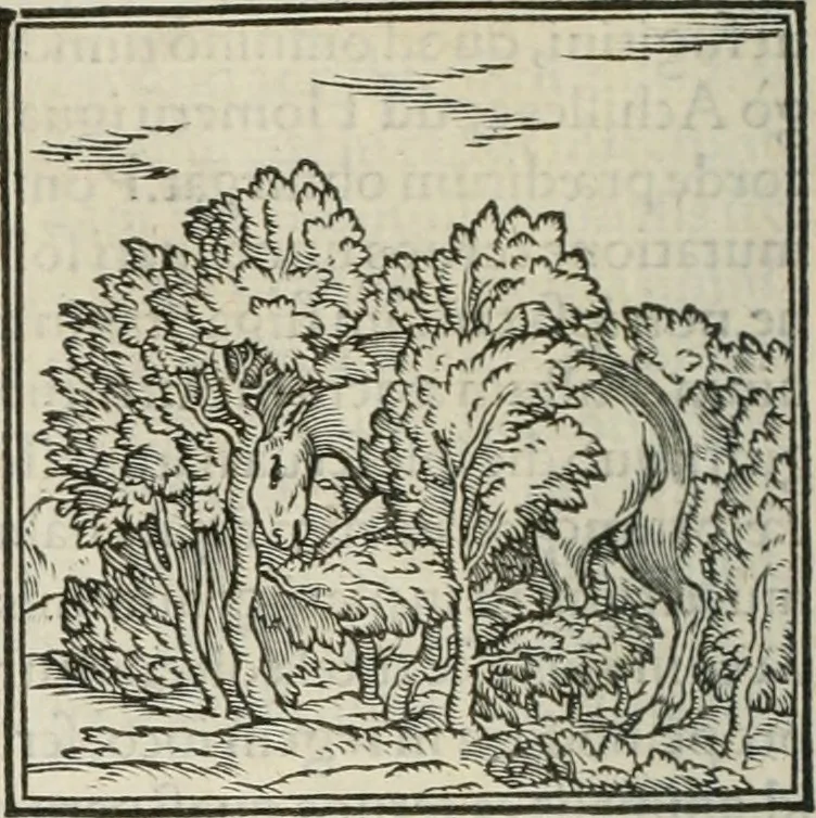 An illustration from Hieroglyphica, siue, De sacris Aegyptiorum literis commentarii, Ioannis Pierii Valeriani Bolzanii Bellunensis, 1556, leaf 113