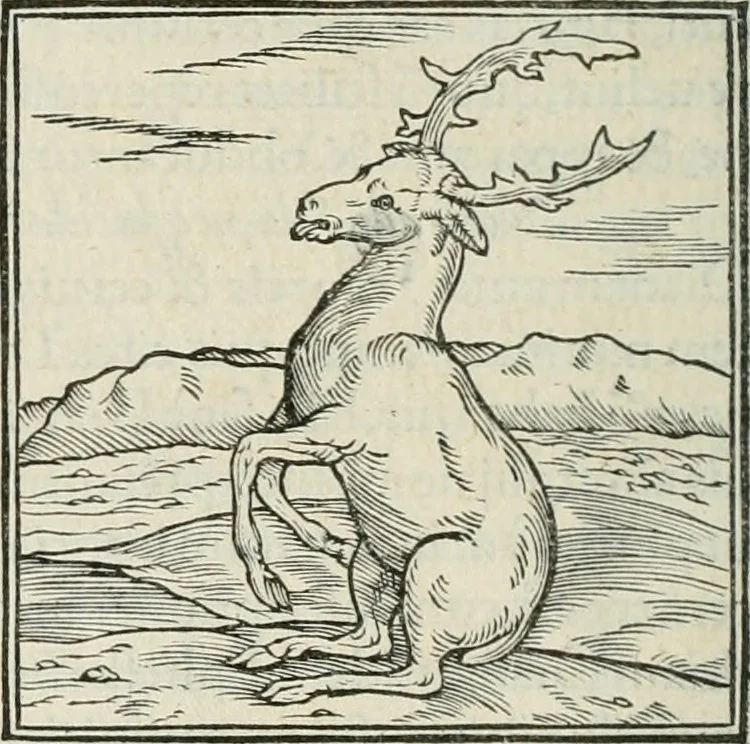 An illustration from Hieroglyphica, siue, De sacris Aegyptiorum literis commentarii, Ioannis Pierii Valeriani Bolzanii Bellunensis, 1556, leaf 115