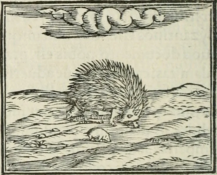 An illustration from Hieroglyphica, siue, De sacris Aegyptiorum literis commentarii, Ioannis Pierii Valeriani Bolzanii Bellunensis, 1556, leaf 129