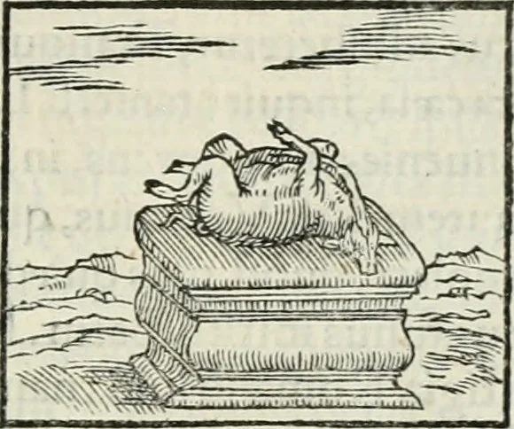 An illustration from Hieroglyphica, siue, De sacris Aegyptiorum literis commentarii, Ioannis Pierii Valeriani Bolzanii Bellunensis, 1556, leaf 142