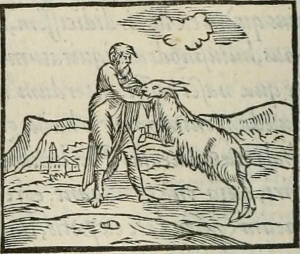 An illustration from Hieroglyphica, siue, De sacris Aegyptiorum literis commentarii, Ioannis Pierii Valeriani Bolzanii Bellunensis, 1556, leaf 147